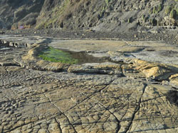 Kimmeridge Bay